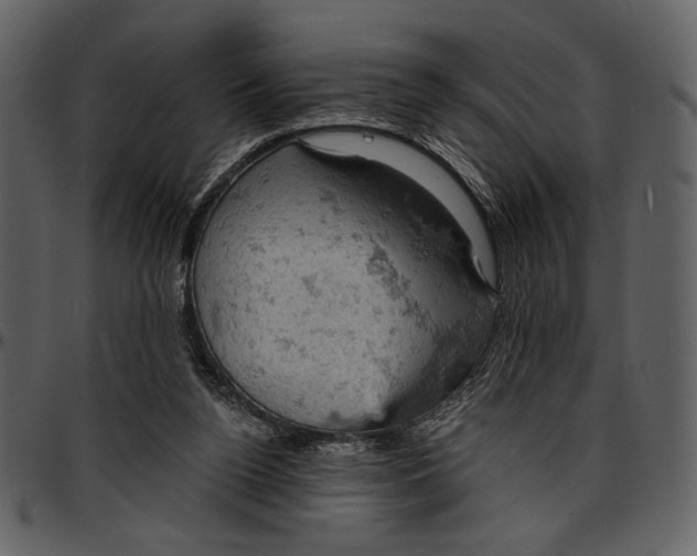 X0000096950160200802291105