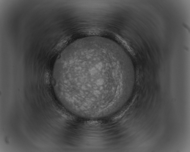 X0000096950161200802291105