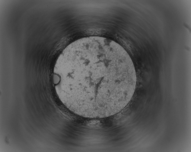 X0000096950162200802291105