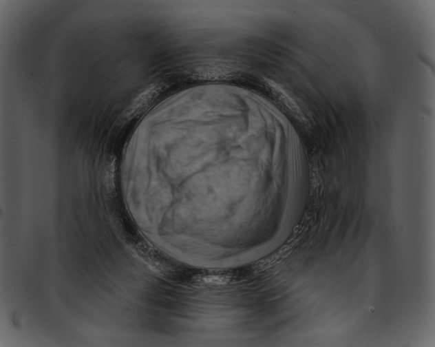 X0000096950163200802291105