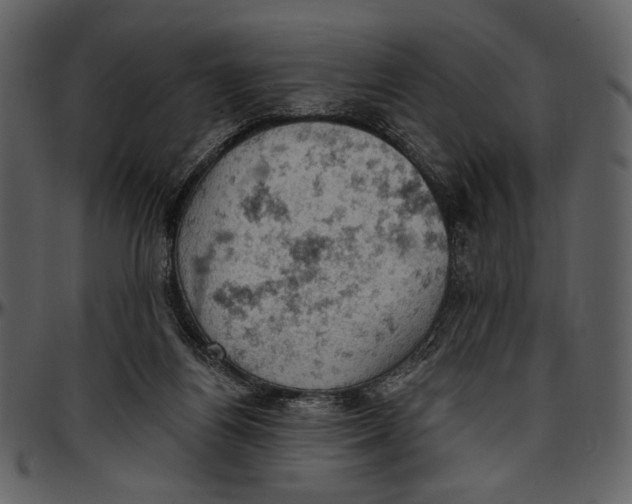 X0000096950164200802291105