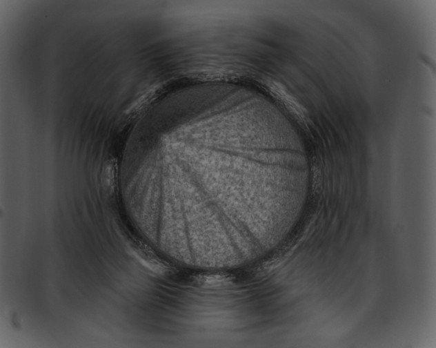 X0000096950165200802291105