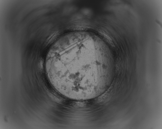 X0000096950166200802291105