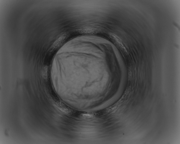 X0000096950167200802291105