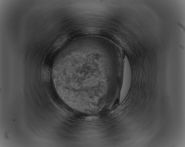 X0000096950168200802291105