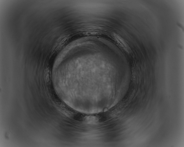 X0000096950169200802291105
