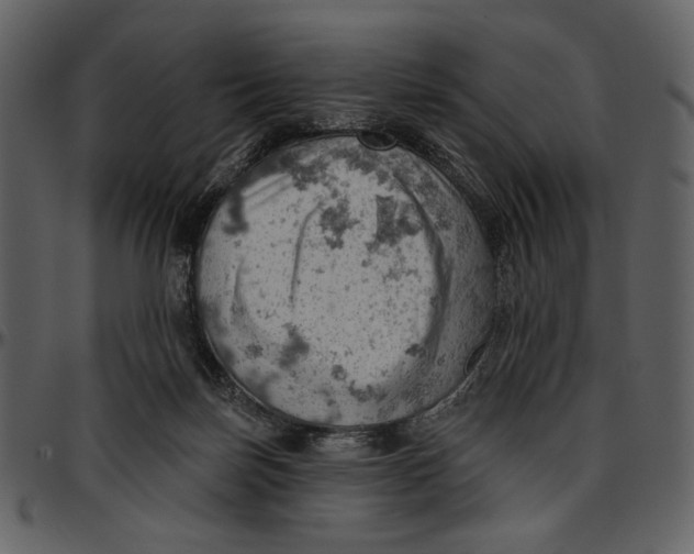 X0000096950171200802291105