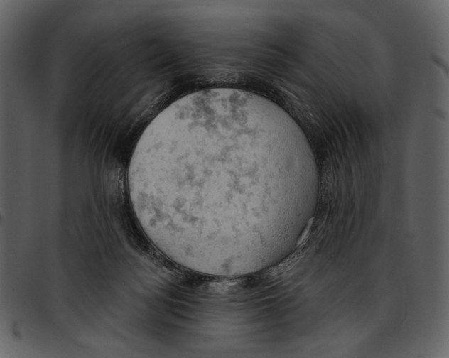 X0000096950172200802291105