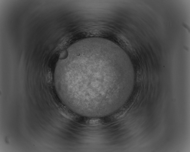 X0000096950173200802291105