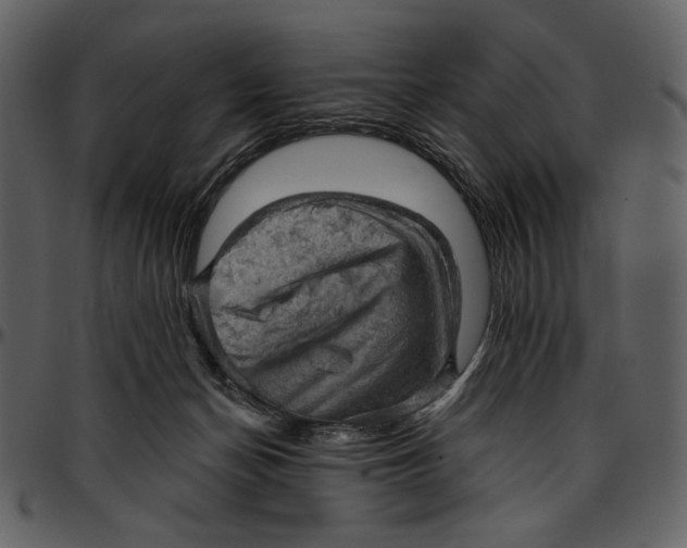 X0000096950174200802291105