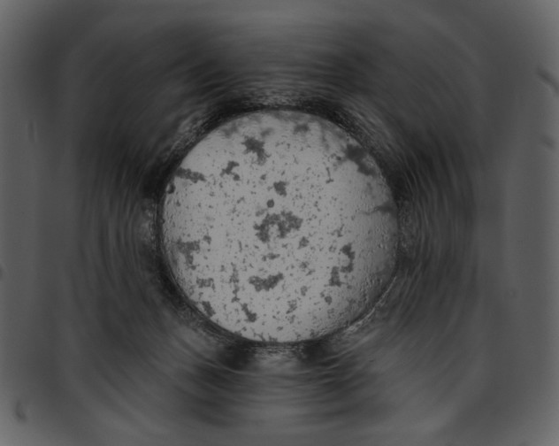 X0000096950175200802291105