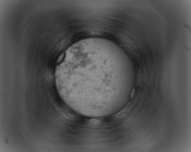 X0000096950176200802291105