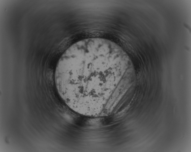 X0000096950178200802291105