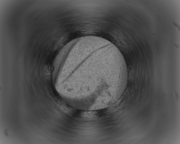 X0000096950179200802291105