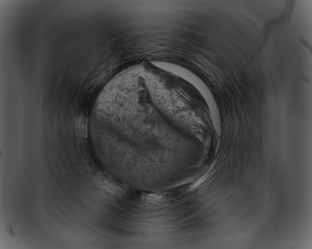 X0000096950180200802291105