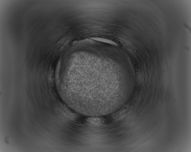 X0000096950181200802291105