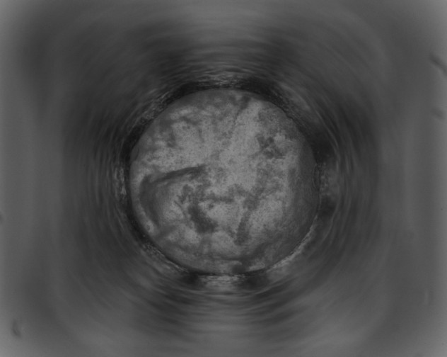 X0000096950182200802291105