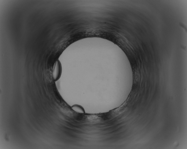 X0000096950183200802291105