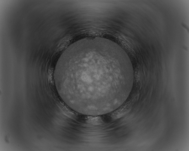 X0000096950185200802291105