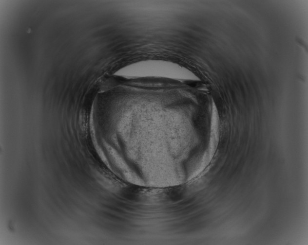 X0000096950186200802291105