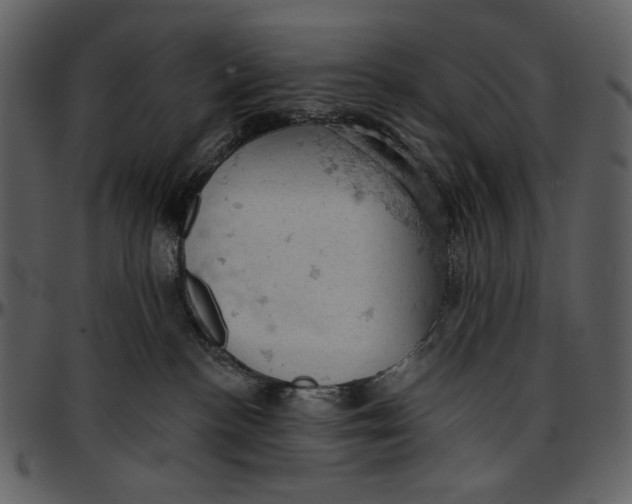 X0000096950188200802291105