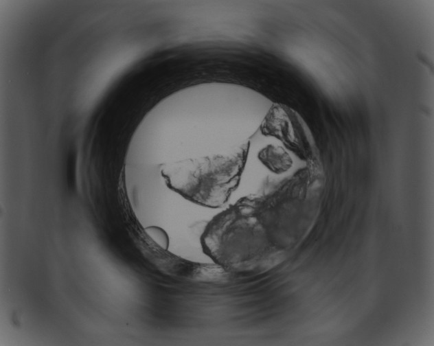X0000096950189200802291105