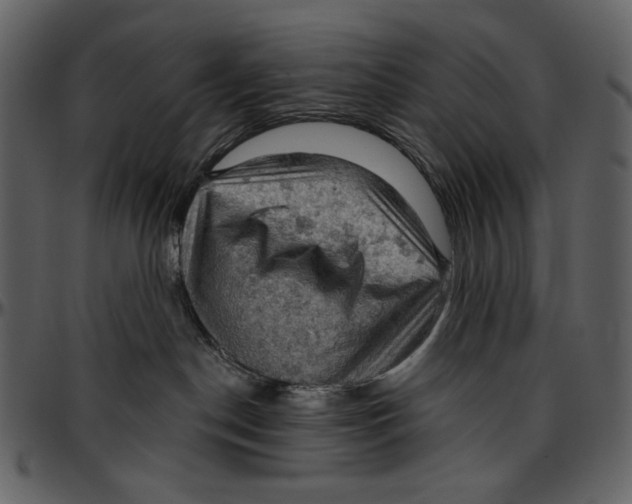 X0000096950190200802291105