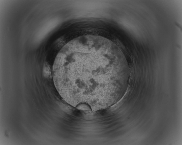 X0000096950191200802291105