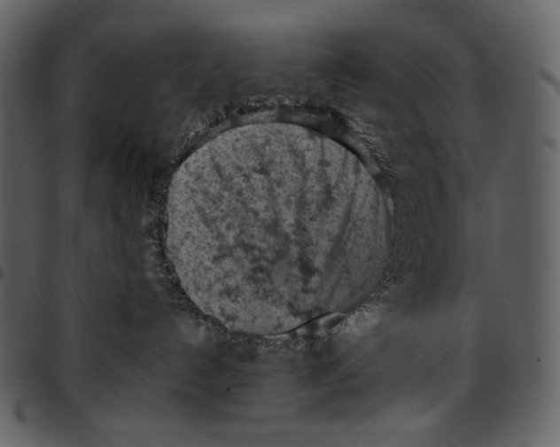 X0000096950192200802291105