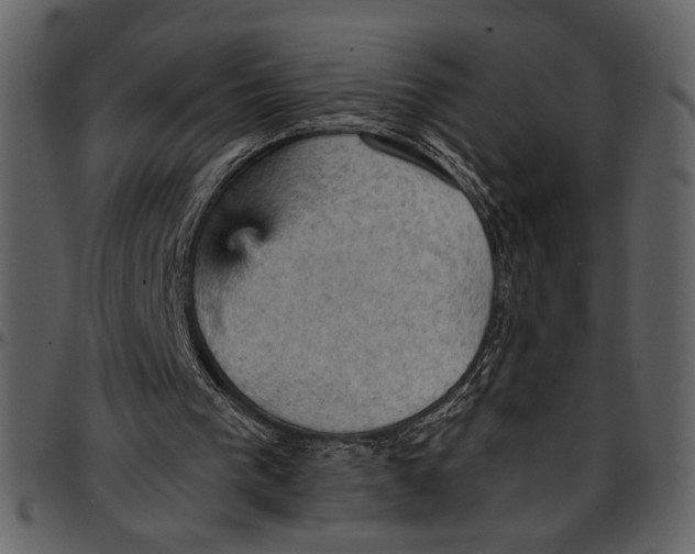 X0000096950193200802291105