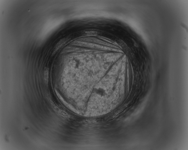 X0000096950194200802291105