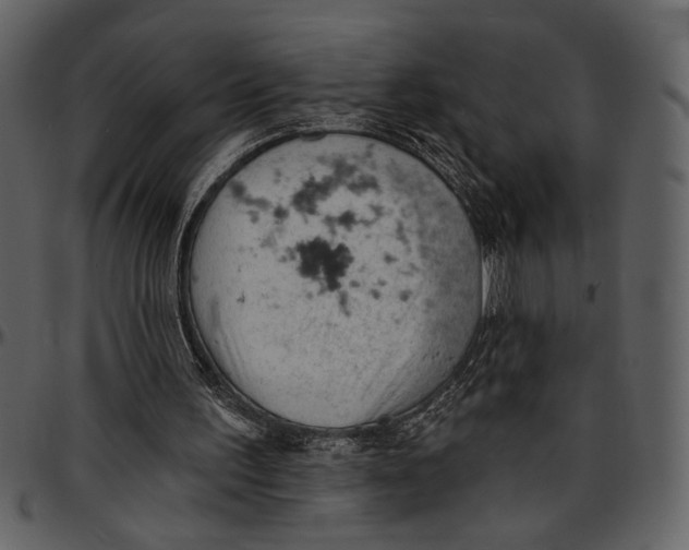 X0000096950195200802291105
