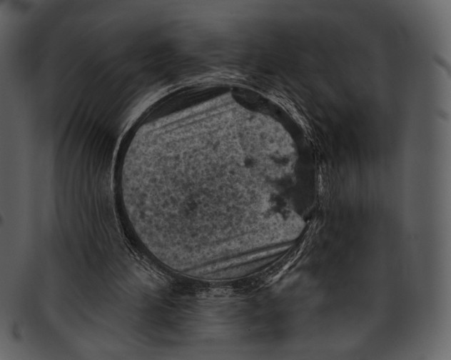 X0000096950196200802291105