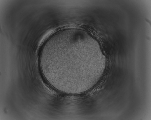 X0000096950197200802291105
