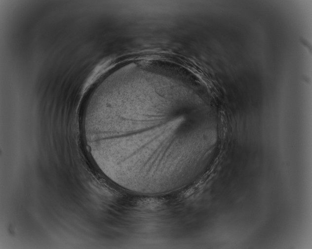 X0000096950198200802291105