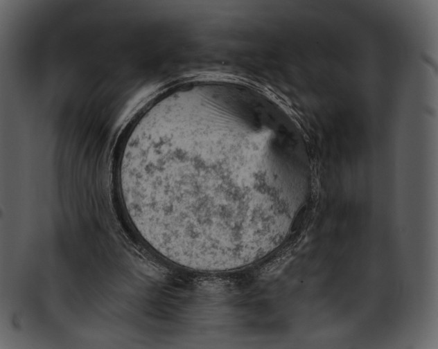 X0000096950199200802291105