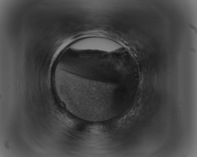 X0000096950200200802291105