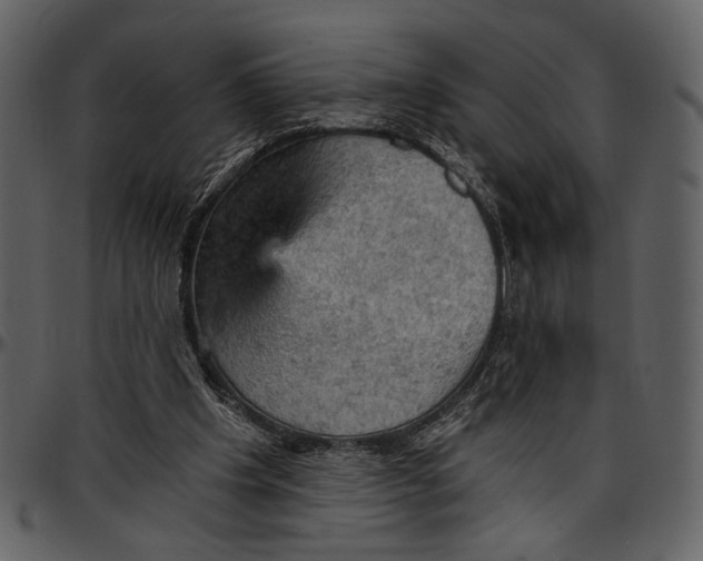 X0000096950201200802291105