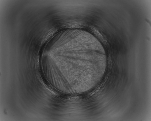 X0000096950202200802291105