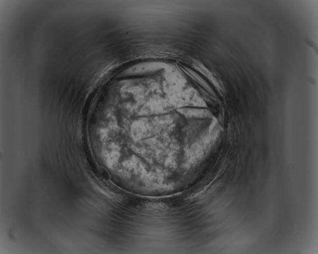 X0000096950203200802291104