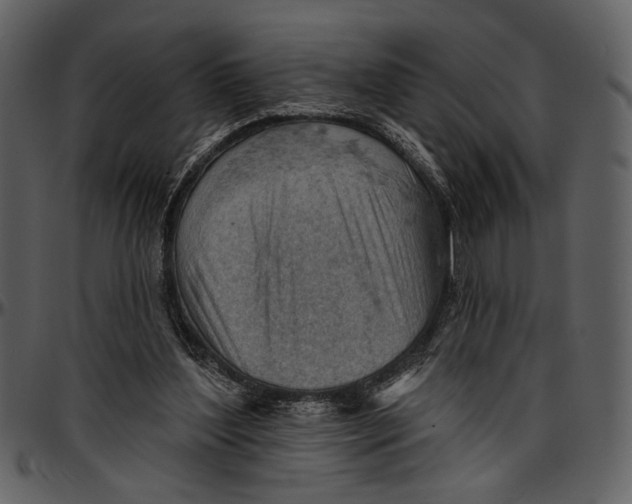 X0000096950204200802291104