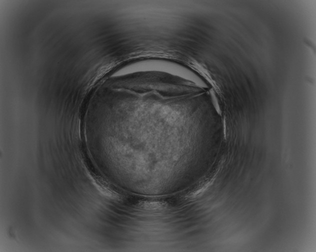 X0000096950205200802291104