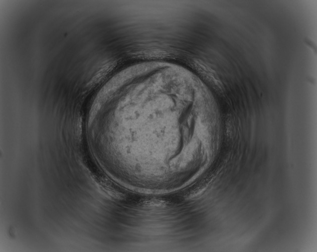 X0000096950206200802291104