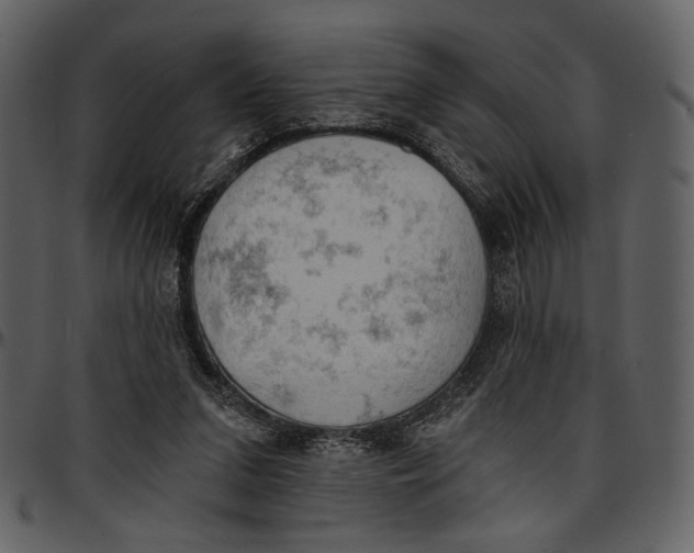 X0000096950207200802291104