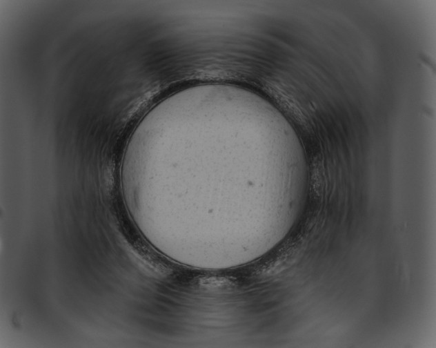 X0000096950208200802291104
