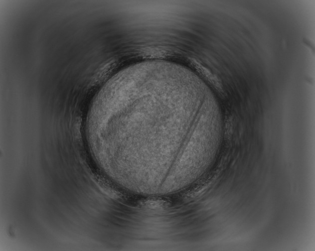 X0000096950209200802291104