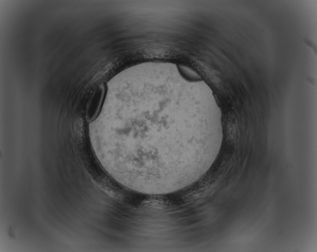 X0000096950211200802291104