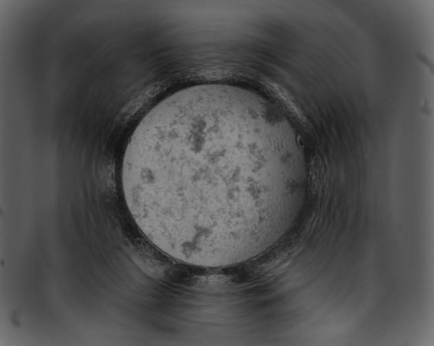 X0000096950212200802291104
