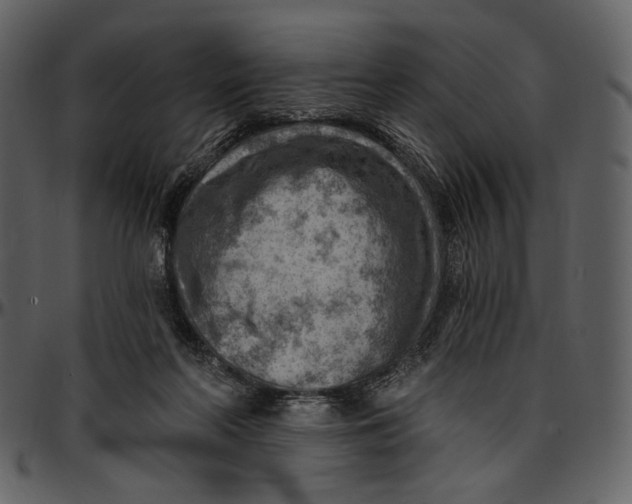 X0000096950214200802291104