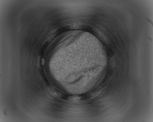 X0000096950217200802291104